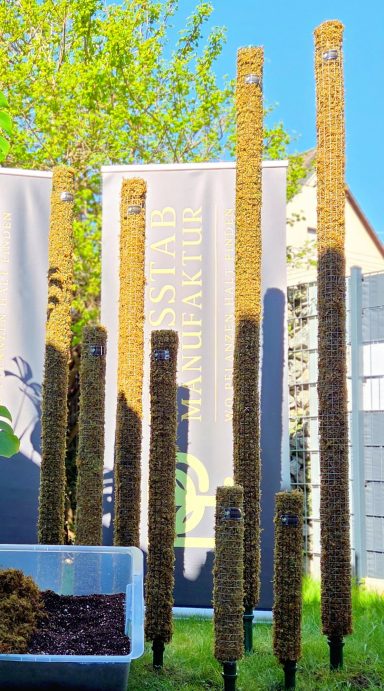 Hohe Pflanzenstangen stehen in einer geraden Reihe vor Banner und Haus.